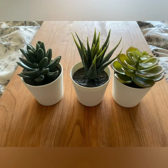 Set of 3 mini artificial succulents in white pots - Picture 3 of 4